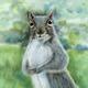 Expectant Squirrel (Artist's…