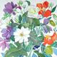 Mixed Bouquet (Artist's…