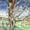 Gnarled Tree (Artist's ref 0411GN)