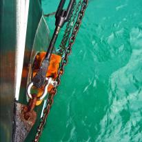 Starboard Bow