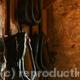 Horse Collars | | | Horse Collars
