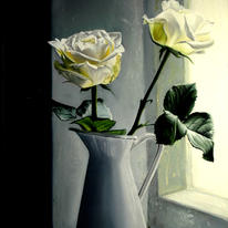 White Roses