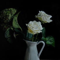 hidden White Roses 1 