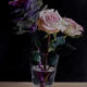 Roses & Cabbage