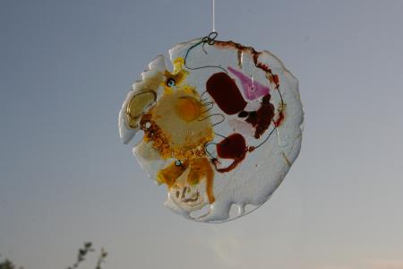 sunspot of optimism