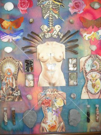 Evolution of an Angel : Michael Skinner