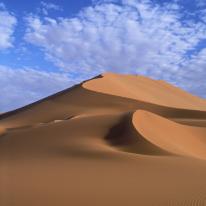 Tall Dune by David Godny (www.davidgodny.com)