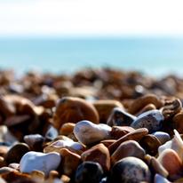 Brighton Beach Stones by Richard Ireland
