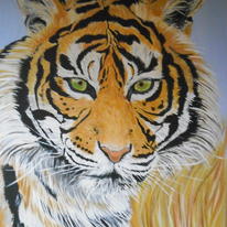 Eye of the tiger!