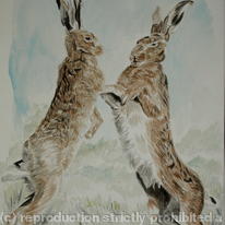 Boxing Hares