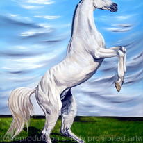 Arabian Stallion