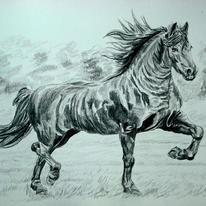 Horse in pencil