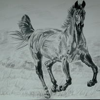 Horse in pencil 2