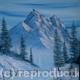 The snowy trek