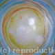 The ORB