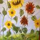 Sunflower 2
