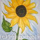sunflower-reaching for…