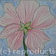 Flower1