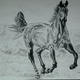 Horse in pencil 2