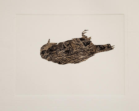 Artist Paul Wye