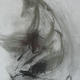 One minute life drawing…