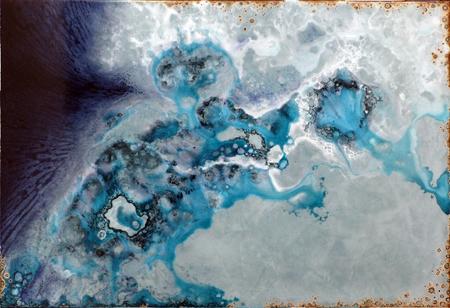 Adam Arbeid - The Blue Oyster  Alliance