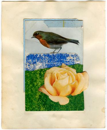 Michelle Thompson - Bird and Yellow Rose