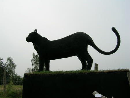 Will Jordan - Panther