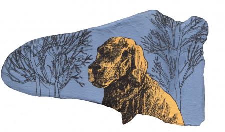 Emma Harding - Dog II