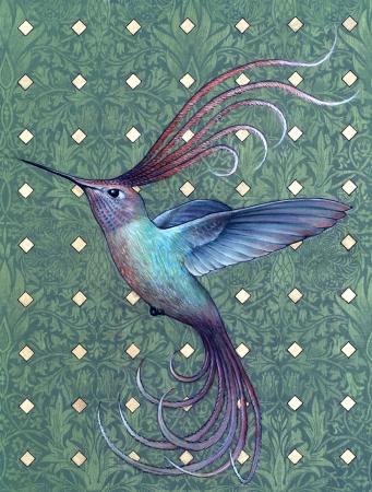 Dylan Floyd - Hummingbird of Paradise