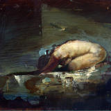 Christine Tongue - Solace - Alkyd and Oil Paint on acetate