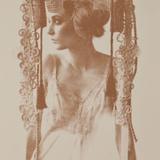 Rosie Emerson - Shrine 6 - Screen print with American Walnut sawdust