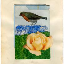 Michelle Thompson - Bird and Yellow Rose