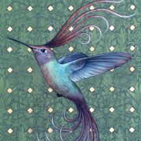Dylan Floyd - Hummingbird of Paradise