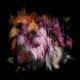 Katherine Melancon -…