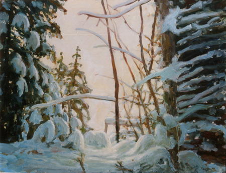 snow in poland