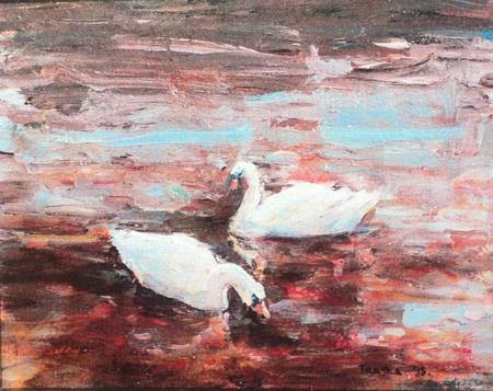 swans on the river gliding by