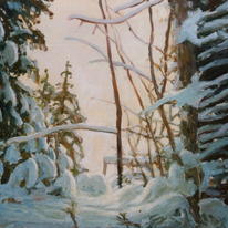 snow in poland