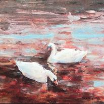 swans on the river gliding by
