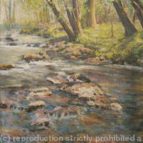 devon  stream