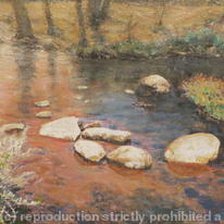dartmoor river