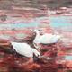 swans on the river gliding… | | | swans on the river gliding…