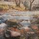 devon stream