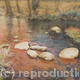 dartmoor river