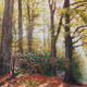 blaize beeches bristol