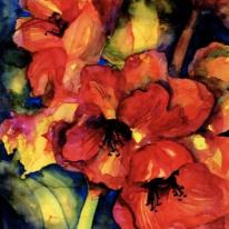 Amaryllis