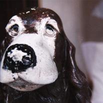 Spaniel
