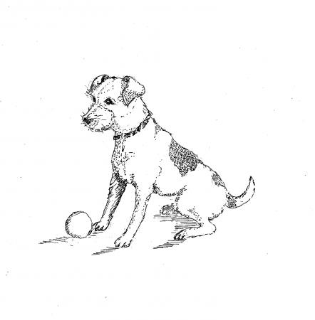 jack