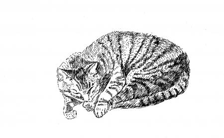 Oliver