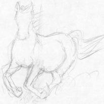 galloping horse